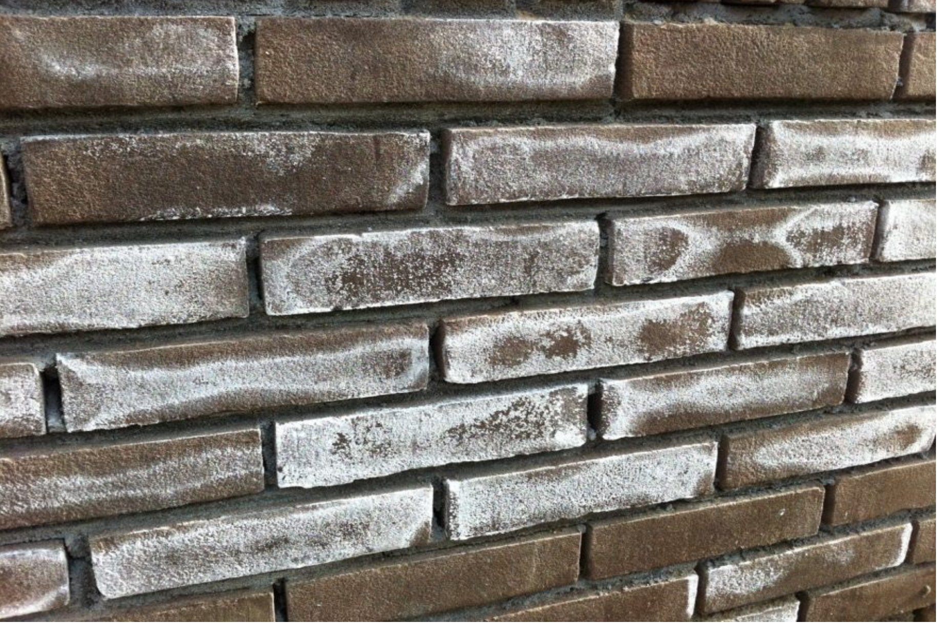 Gevel close-up met uitbloeiing